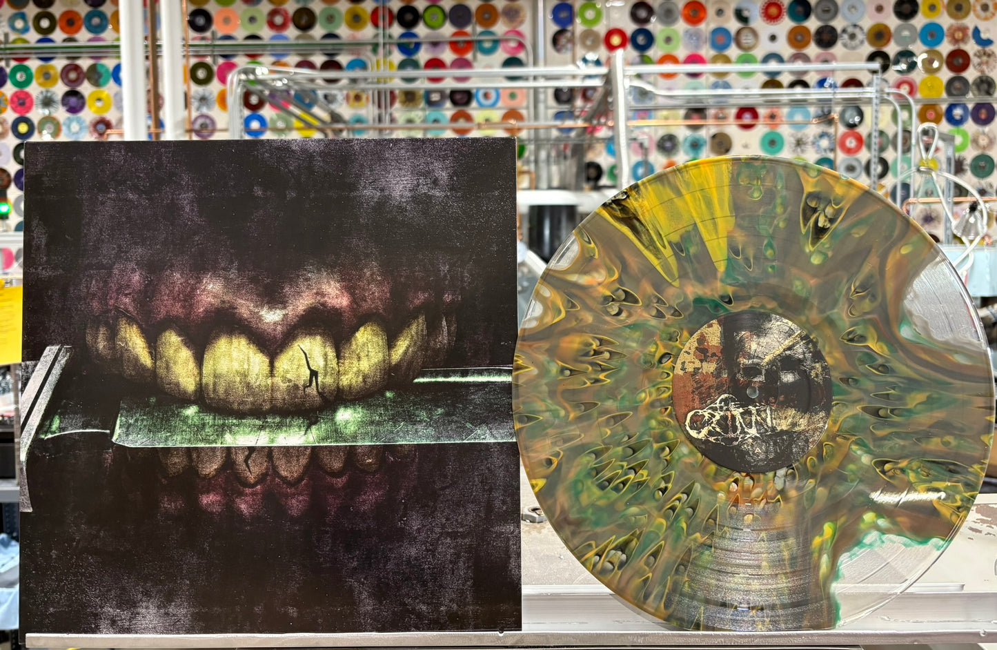 THE CRINN - SELF-TITLED + KILLS CURIOSITY